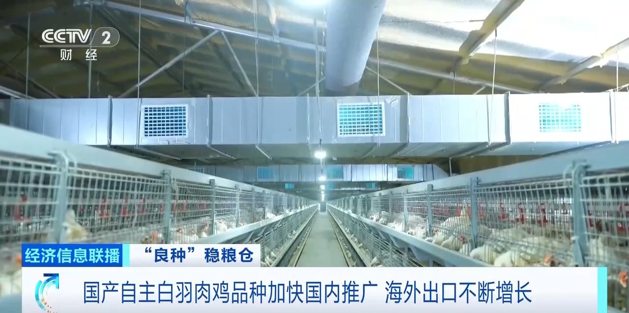 888u集团(中国)有限公司