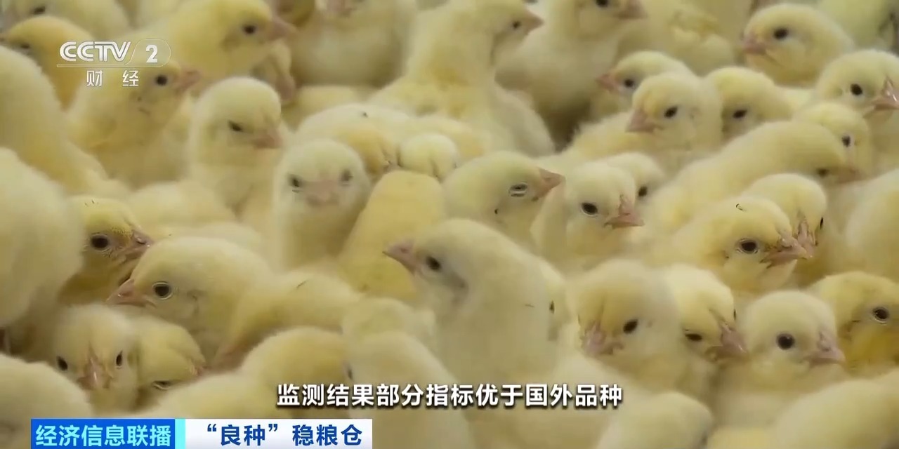 20260408094152_46030 888u集团(中国)有限公司