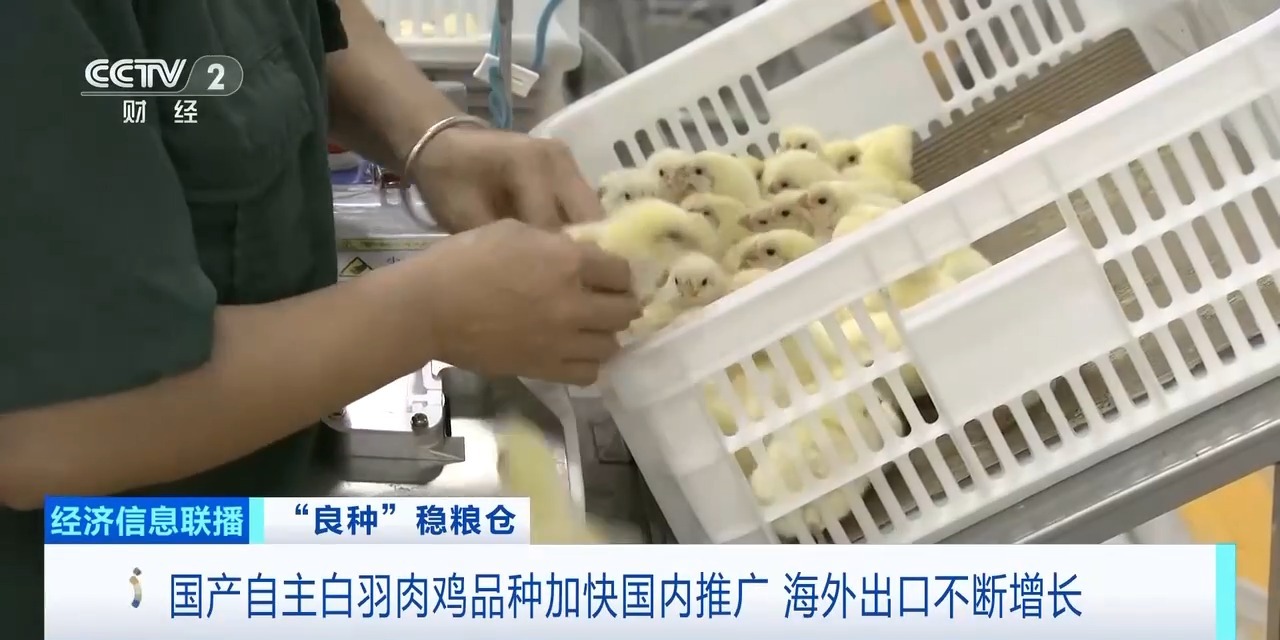 20260408094220_95222 888u集团(中国)有限公司
